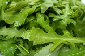 Arugula - Locally grown at Star Farm.