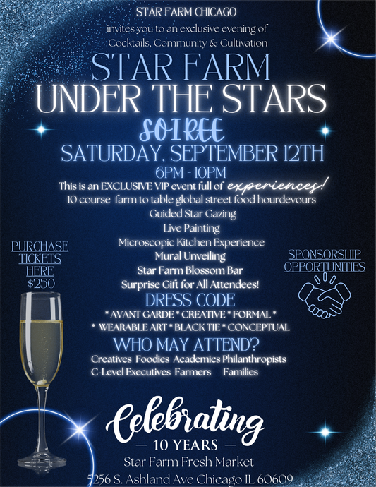 Under the Stars Soiree 2026: September 12, 2026