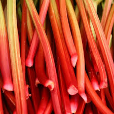 Rhubarb- Bunch
