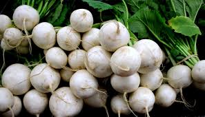 Turnips- Bunch