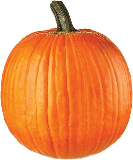 Large Local Pumpkin