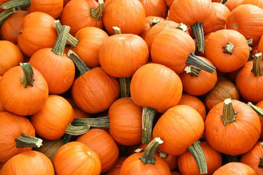Pie Pumpkin