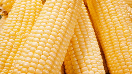 Corn – 1 pc